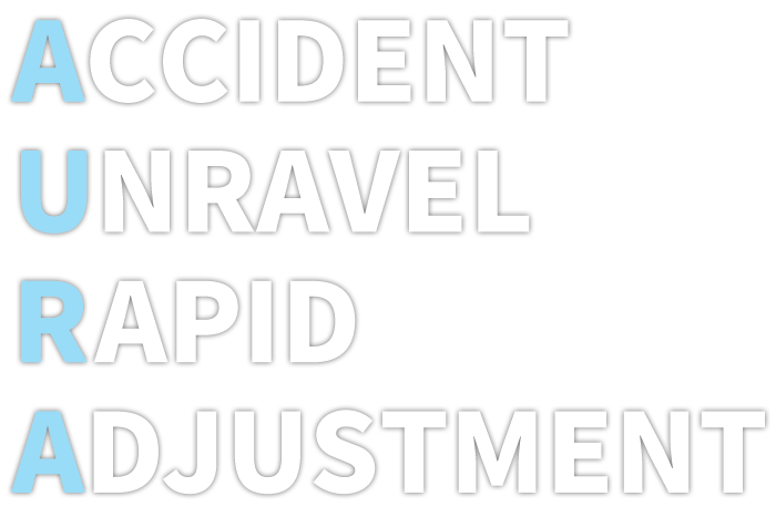 アウラ損害調査